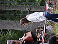 DSCF0693