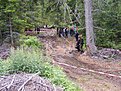 DSCF0661