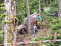 DSCF0657