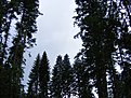 DSCF0637