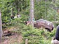 DSCF0656