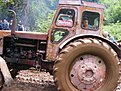 DSCF0633
