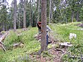 DSCF0640