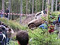 DSCF0667