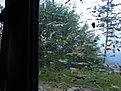 DSCF0618