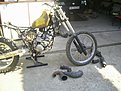 PIC 0687