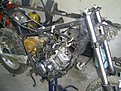 PIC 0685