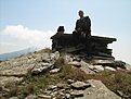 IMG 7455