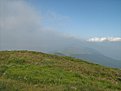 IMG 7395
