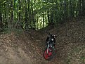 IMG 7383