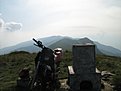 IMG 7393
