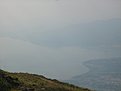 IMG 7428