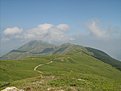 IMG 7440