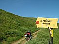 IMG 7392