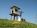 IMG 7438