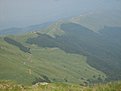 IMG 7415