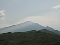 IMG 7431