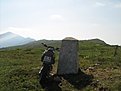 IMG 7432