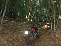 IMG 7384