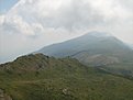 IMG 7447