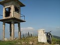 IMG 7434