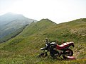 IMG 7444