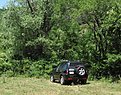 IMG 3147