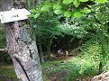 IMG 1194