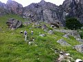 IMG 1256