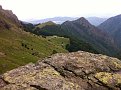 IMG 1263