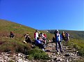 IMG 1376