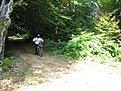 IMG 7581