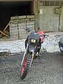 IMG 7593