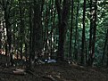 IMG 7572