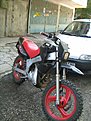 IMG 7594
