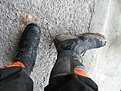 IMG 7597