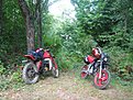IMG 7588