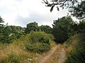 IMG 7579