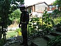 IMG 7602