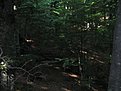 IMG 7574