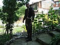 IMG 7599