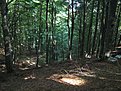 IMG 7575