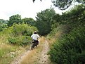 IMG 7580