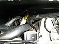 IMG 7592