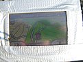 IMG 7787