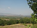 IMG 7791