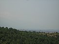IMG 7794