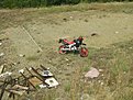 IMG 7797