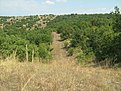 IMG 7801