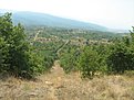 IMG 7803